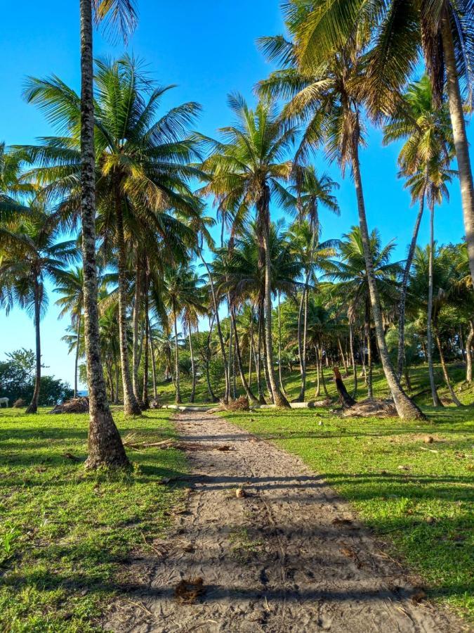 Pousada Beija Flor - Ilha Boipeba Velha Boipeba Eksteriør bilde